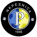 Partizan Pesnica