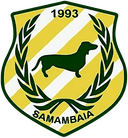 Samambaia U20
