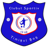 Timişul Şag