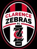 Clarence Zebras II