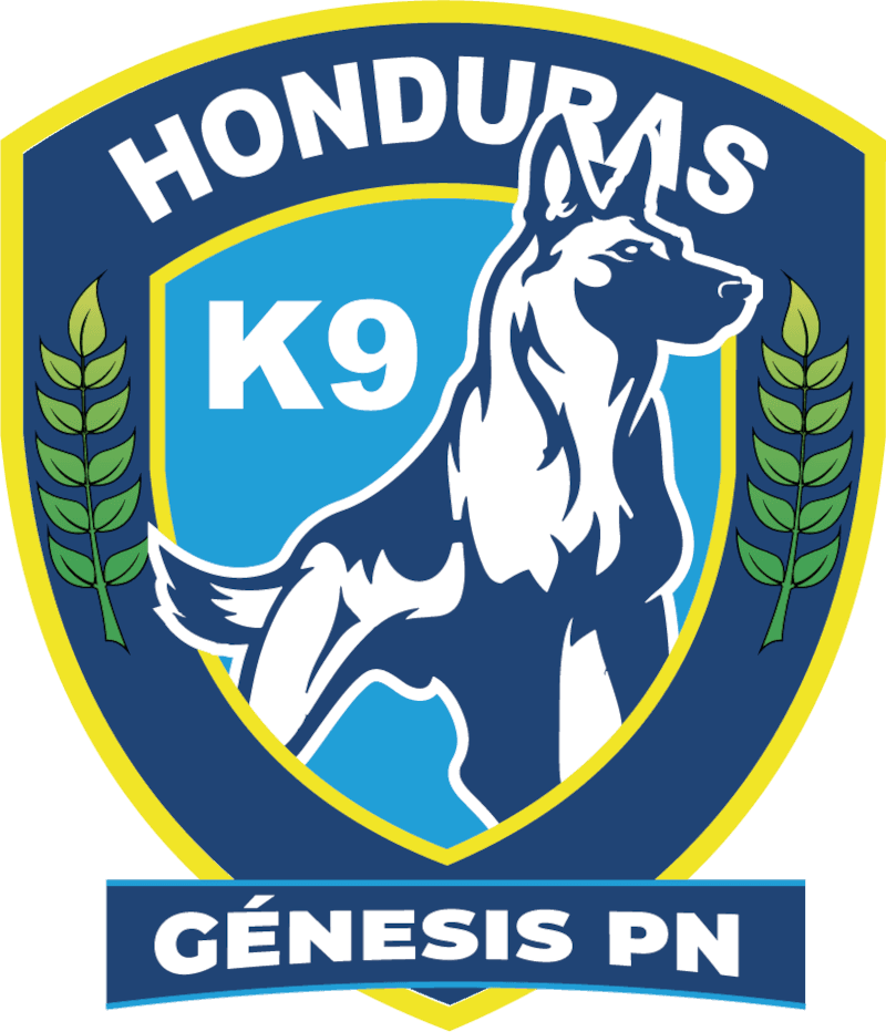 Génesis PN