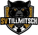Tillmitsch