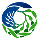 Viargoca