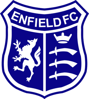 Enfield 1893