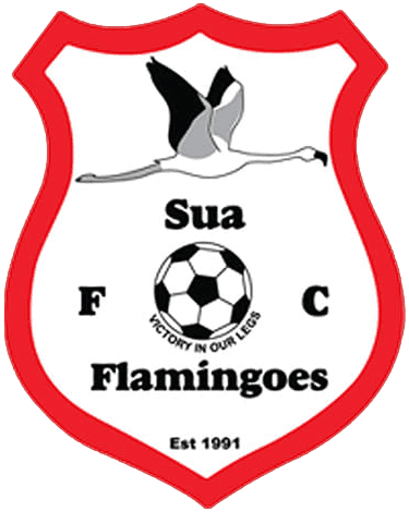 Sua Flamingoes