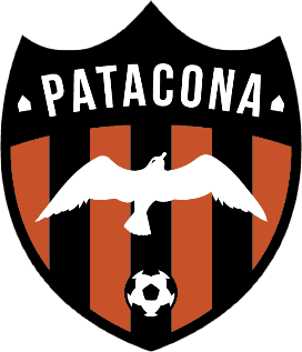Patacona