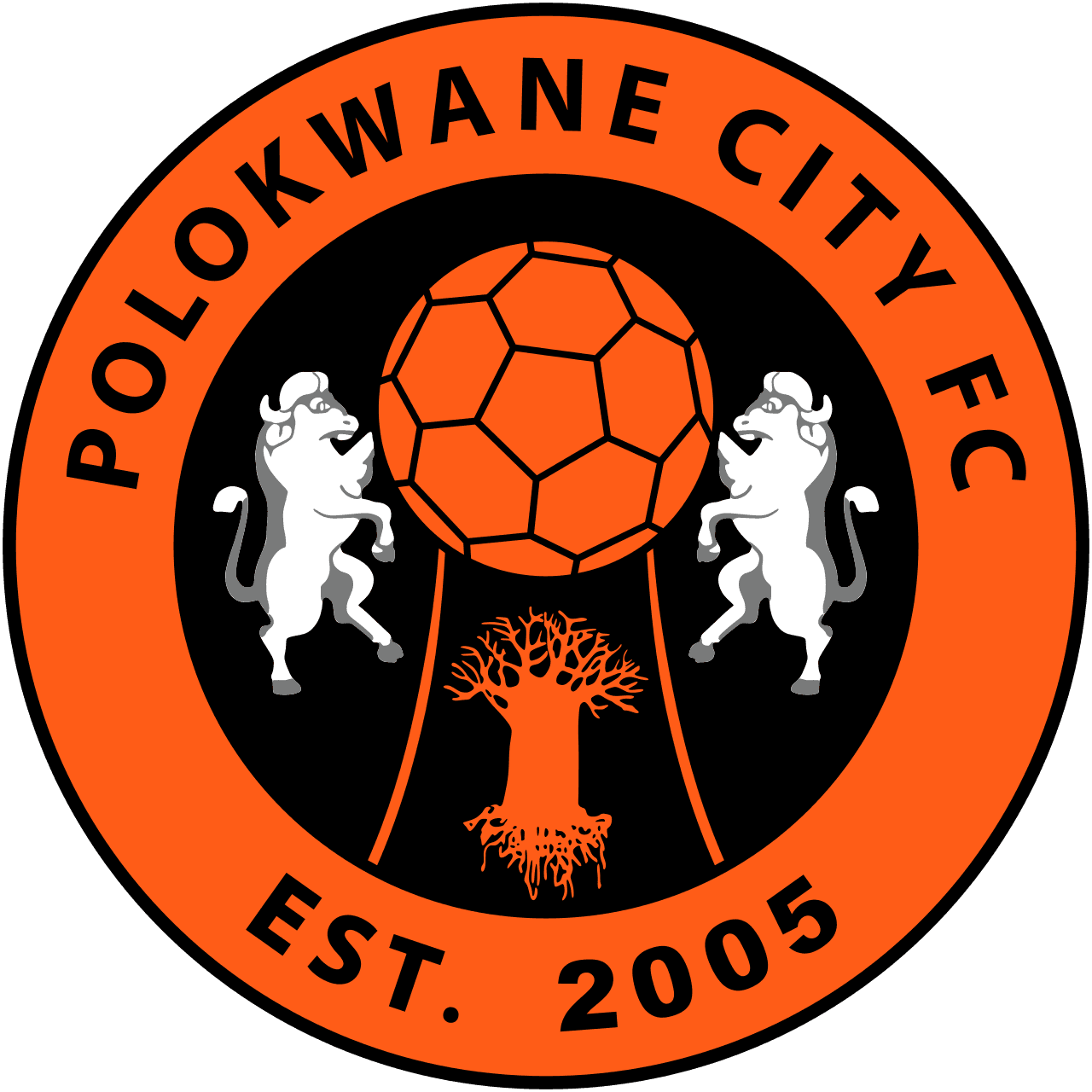 Polokwane City