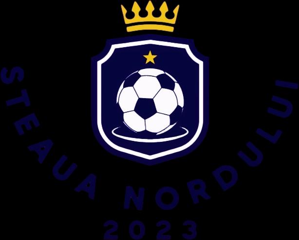 Steaua Nordului