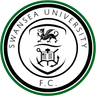 Swansea University