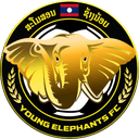 Young Elephants W