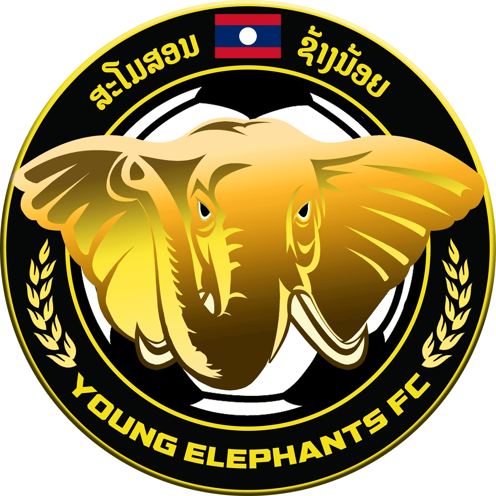 Young Elephants W
