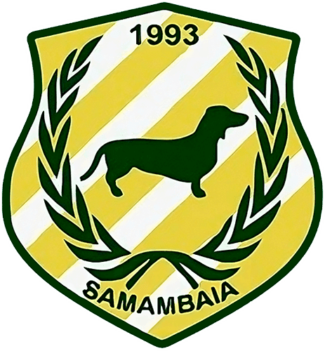 Samambaia