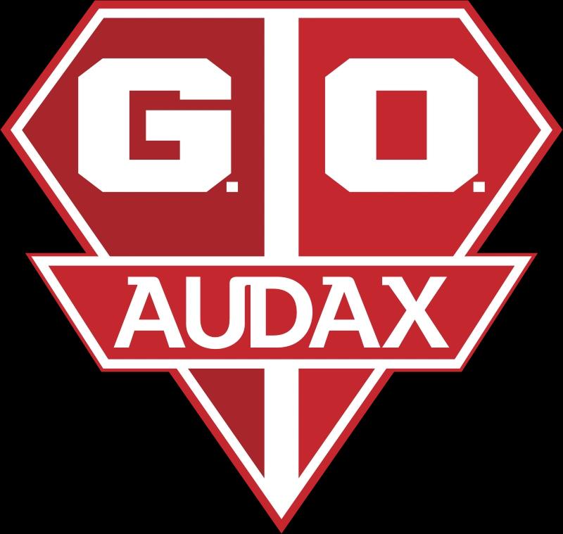Grêmio Osasco Audax