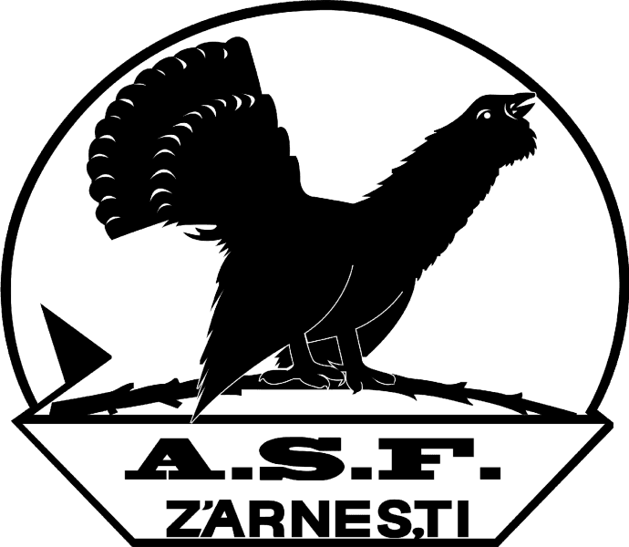 Olimpic Zărneşti