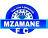 Mzamane