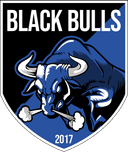 Black Bulls Maputo