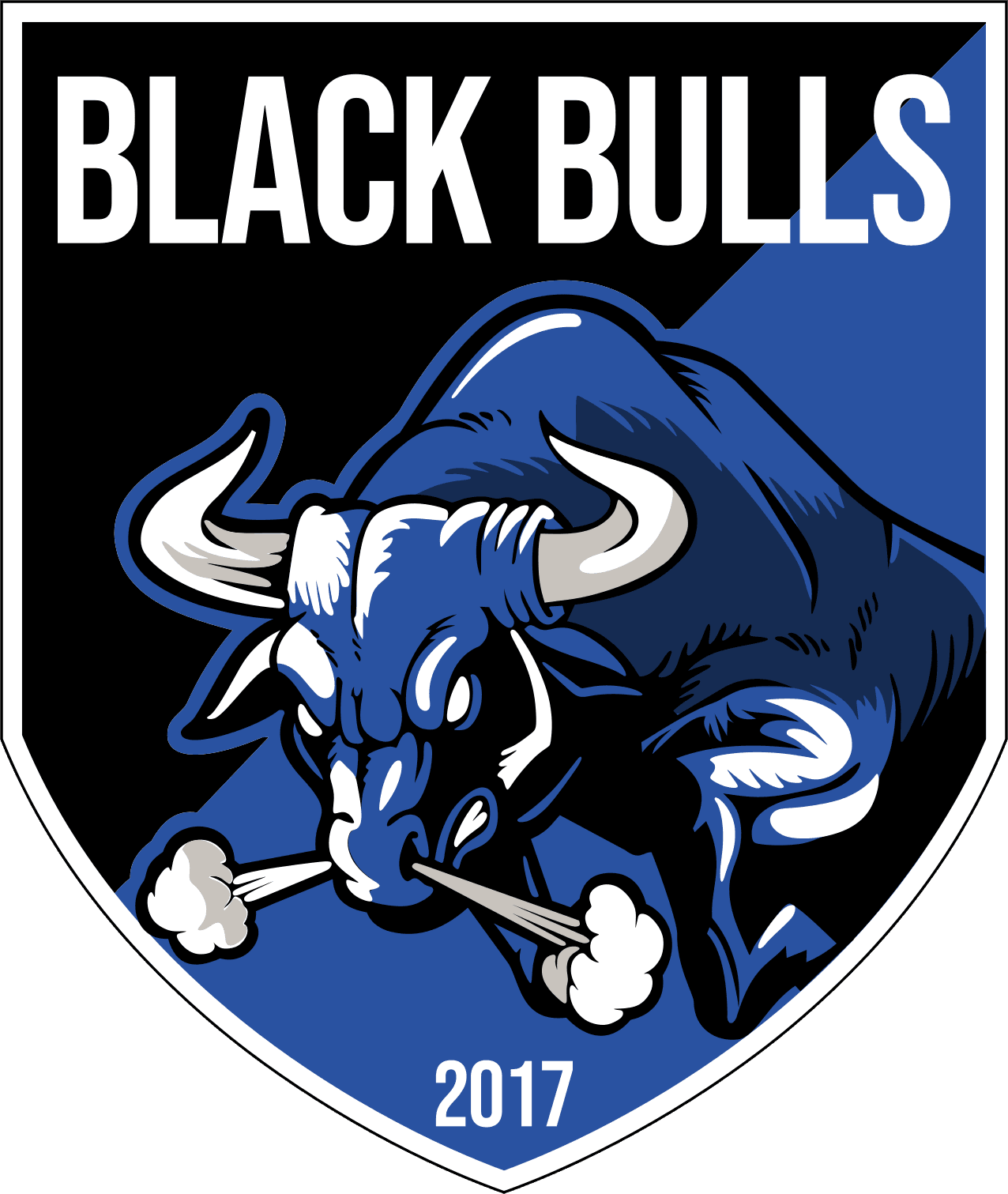 Black Bulls Maputo