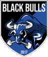 Black Bulls Maputo