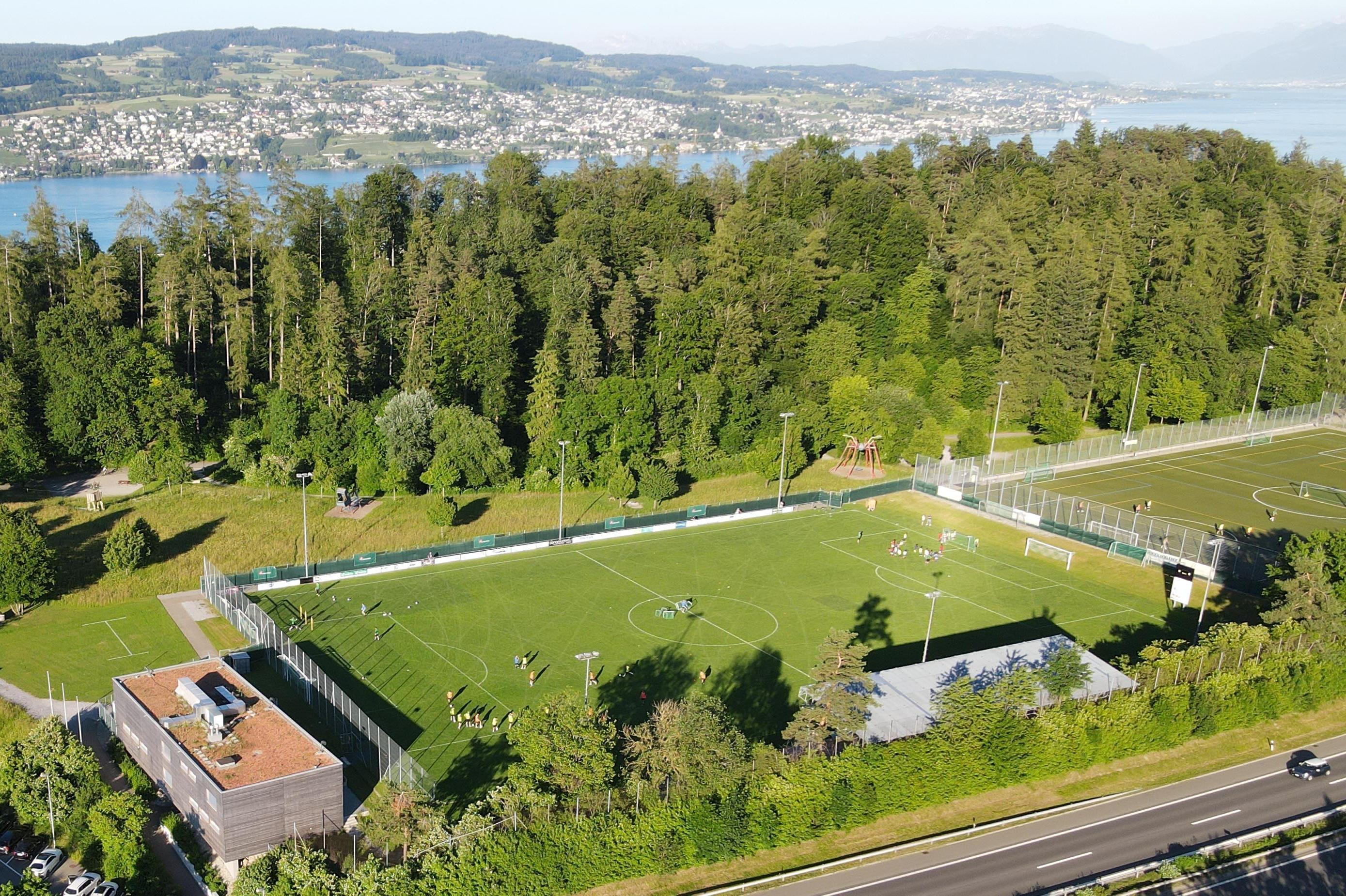 Sportplätze Brand II
