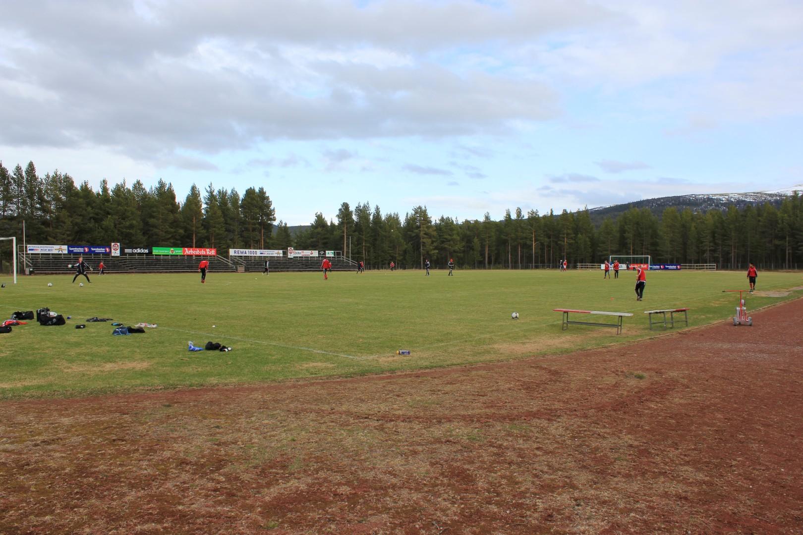 Nytrømoen gras