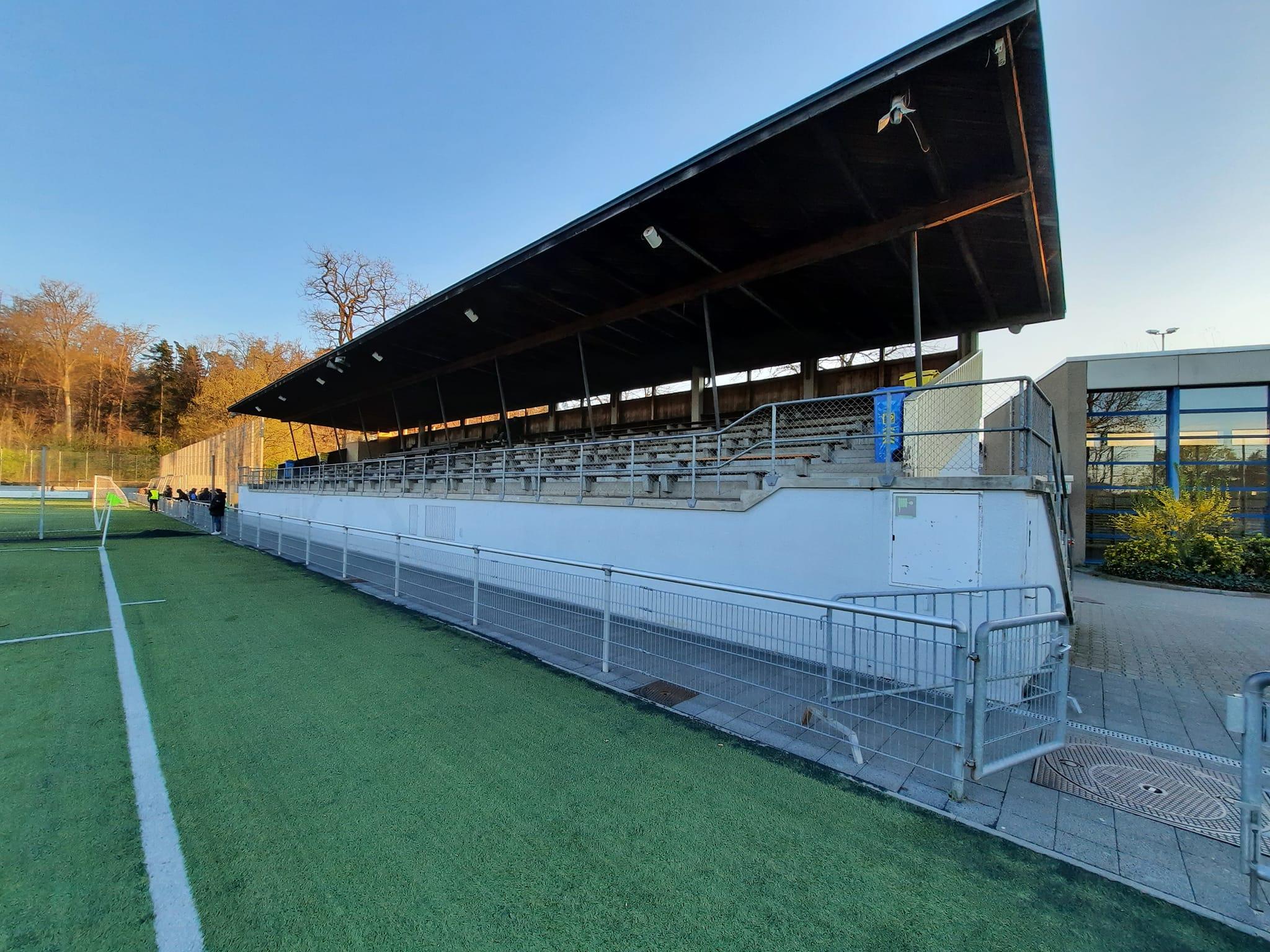 Kunstrasenfeld Bodenweid 2